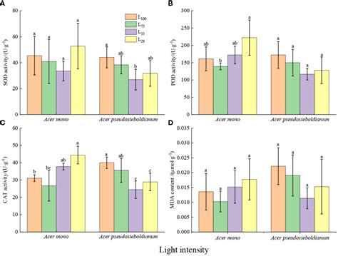 Frontiers Effect Of Light Intensities On The Photosynthesis Growth