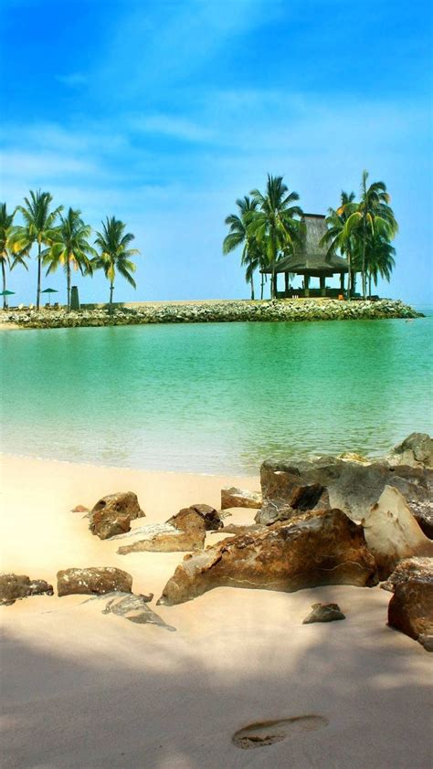 wallpaper alam  gambar