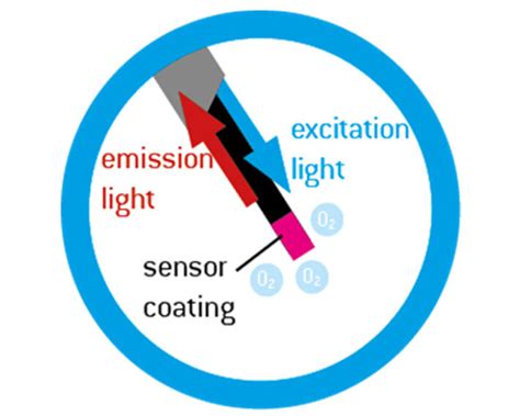 Sensors For Online Monitoring Of O2 Ph And Co2 In Microfluidics And