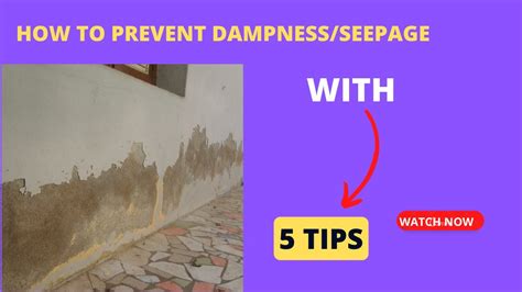 How To Prevent Dampness Seepage Youtube