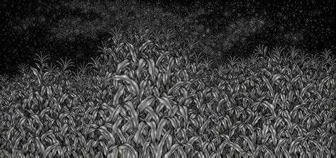 Corn Field Drawing by Anca Popa | Saatchi Art