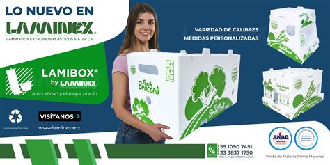 LAMIBOX Cajas Para Almacenamiento Archivos Laminados Extruidos