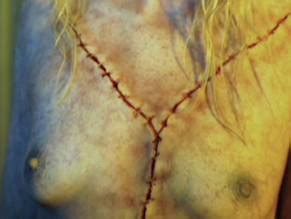 BLOOD SWEAT AND TERRORS NUDE SCENES AZNude