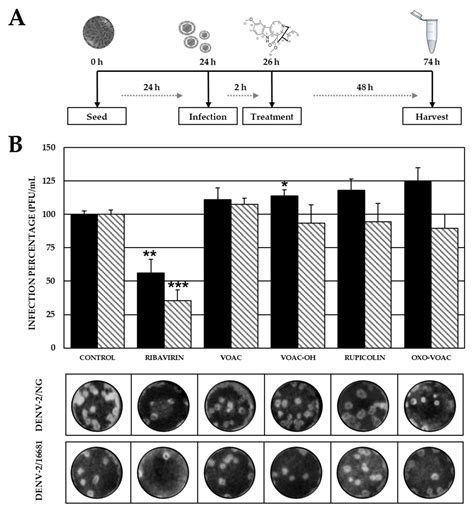 Plants Free Full Text The Antiviral And Virucidal Activities Of Voacangine And Structural