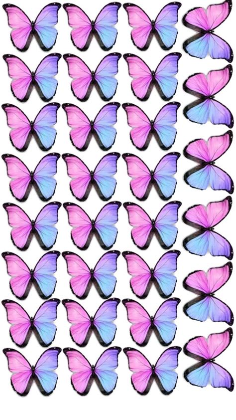 Pin By Joaninha S Art On Salvamentos R Pidos In Butterfly