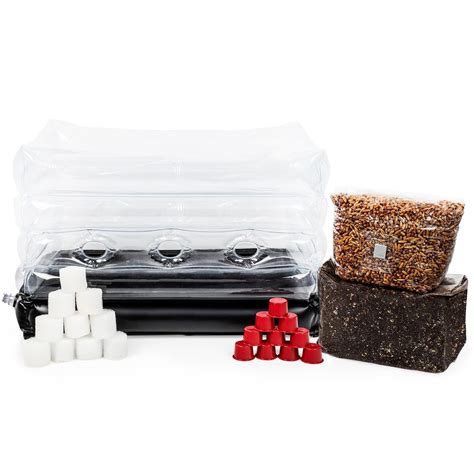 Buy All In One Mushroom Grow Kit Includes Inflatable Monotub Lb