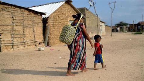 Derechos Humanos De Niños Wayuú Se Han Visto Más Vulnerados Durante La Pandemia Corte