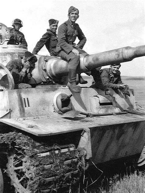 tiger  crew rroyalwarreport