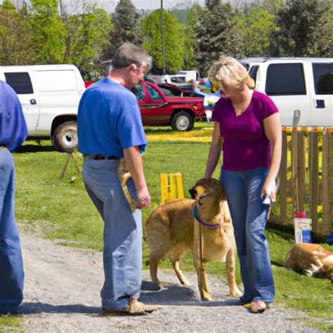 Golden Retriever Breeders: Finding the Perfect Pup