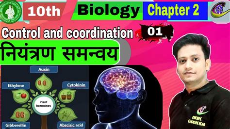 Class 10 Biology Chapter 2 Niyantran Evam Samanvay Class 10 10th Biology Chapter 2 Youtube