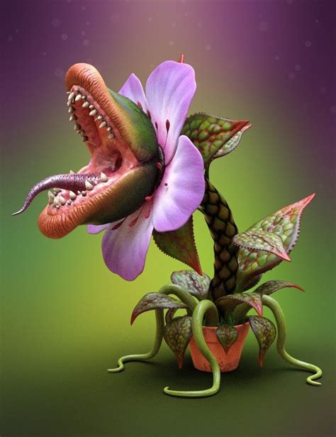 Carnivorous Plant HD | Carnivorous plants, Plant art, Plant monster