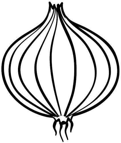 Cebola Para Colorir - DESENHO CEBOLA PARA COLORIR – Colorir e Aprender