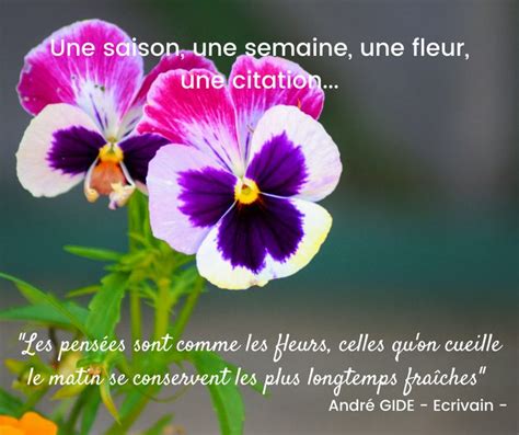 La Pens E En Citation Citation Fleur Fleurs Citation