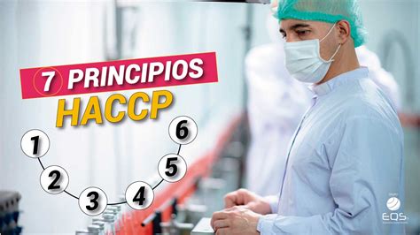 Los Principios Haccp Para La Inocuidad Academy Eqs