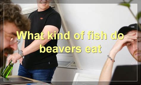 What Kind Of Fish Do Beavers Eat? Do All Beavers Eat Fish? How Often Do ...