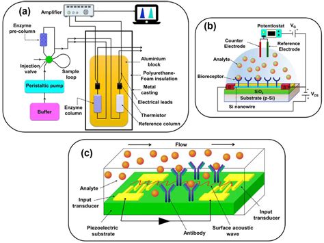 Schematic Diagrams Of A Enzyme Thermistor Based Biosensor B Si