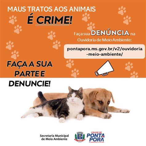 Denuncia De Maus Tratos A Animais - Secretaria Municipal de Meio Ambiente implanta Ouvidoria contra maus ...