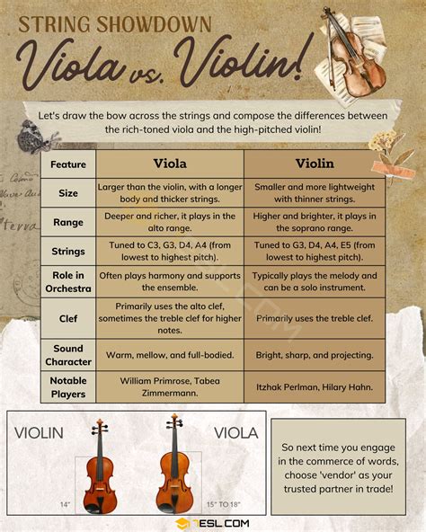 Viola Vs Violin Understanding The Subtle Differences Esl