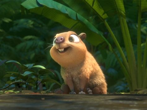 Clara The Capybara