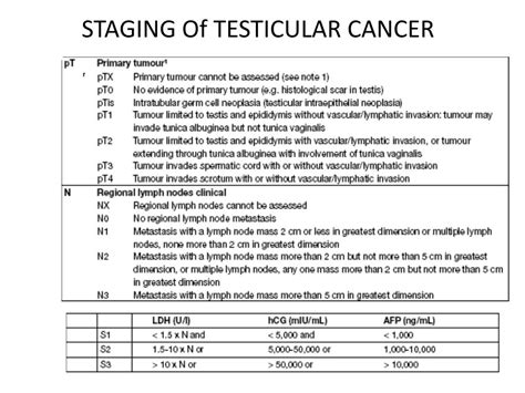 PPT - Management of Testicular Cancer PowerPoint Presentation, free ...