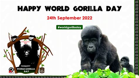 Conservation Through Public Health Be A Gorilla Champion This World