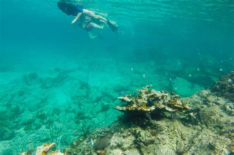 Best Snorkeling Spots in Virgin Islands National Park, St. John - The ...