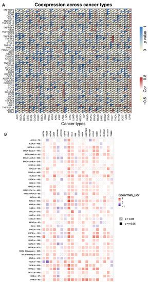 Ijms Free Full Text A Pan Cancer Landscape Of Abcg2 Across Human Cancers Friend Or Foe