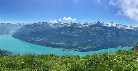 Niederried Harder Kulm N Bergfex Wanderung Tour Berner Oberland