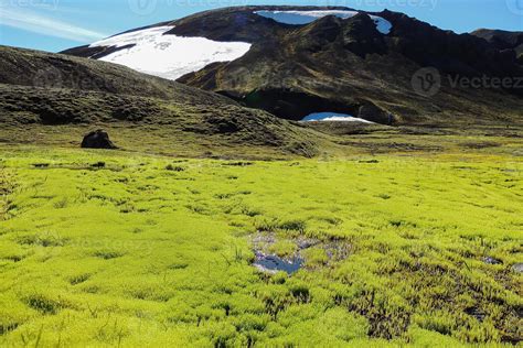 Green Vegetation Iceland Scenery 20333907 Stock Photo at Vecteezy