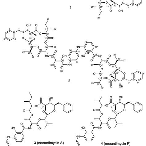 Chemical Structures Of The Isolated Compounds 1 6 Download Scientific Diagram