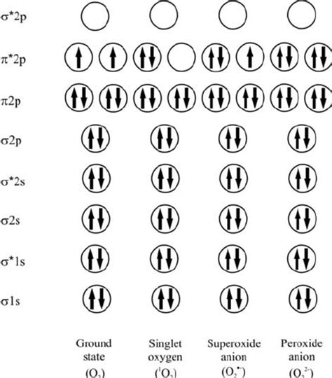 Electronic structure of oxygen molecule. | Download Scientific Diagram