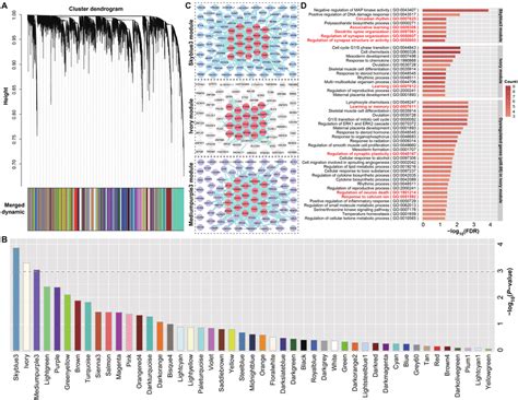 Gene Co Expression Modules In Dlpfc Of Brain Mdd Associated Modules