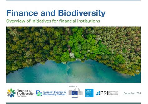 Seventh Update Of The Overview Of Initiatives Finance For Biodiversity Foundation