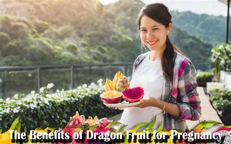 Unveiling The Mystique Dragon Fruit S Influence On Sex Hormones Dragon Fruit Expert