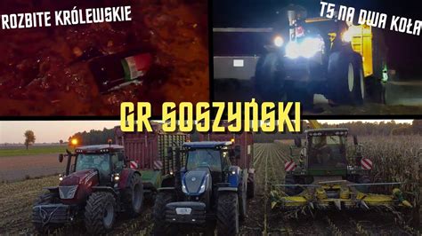 KUKURYDZA w GR SOSZYŃSKI EWIDENTNIE ZA DUŻO KRÓLEWSKIEGO T5 W