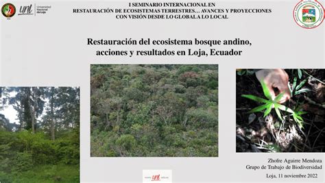 PDF Restauración del ecosistema bosque andino acciones y resultados