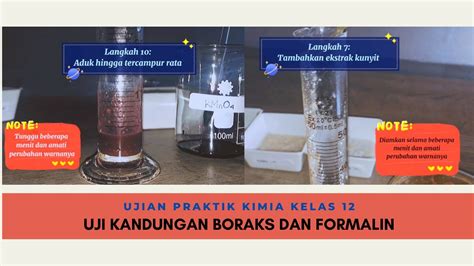 Ujian Praktik Kimia Online Uji Kandungan Boraks Dan Formalin Pada