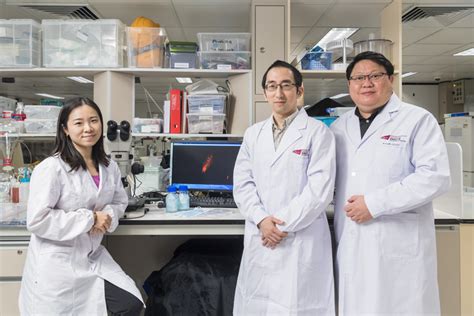 Cityu Research Team Image Eurekalert Science News Releases