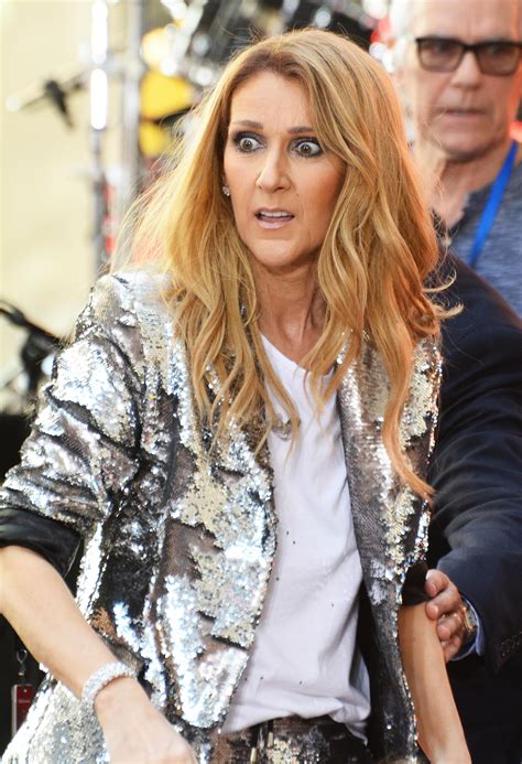 Celine Dion Made The Best Faces During Couples Meet And Greet