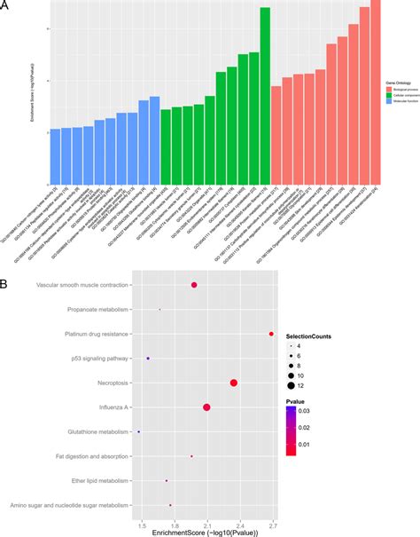 Go And Kegg Pathway Analysis A Gene Ontology Go Enrichment Analysis