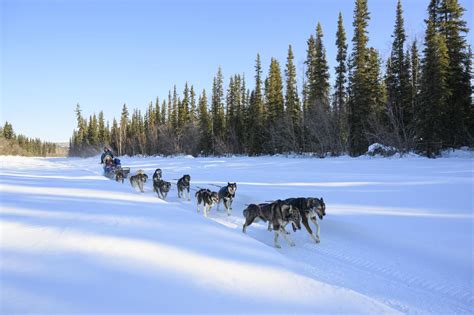 The Best Time To Visit Alaska A Season By Season Guide