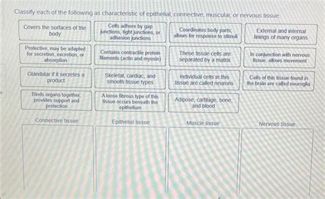 Solved Classify Each Of The Following As Characteristic