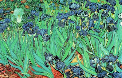 Irises Vincent Van Gogh Oil On Canvas X Location J