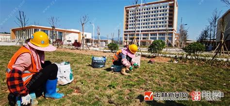 可容纳4000名学生！玉林这所高校预计4月底建成 玉林住朋网房地产信息网 住朋网 买房卖房好帮手