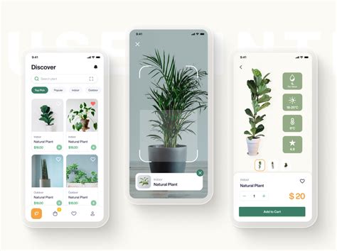 Plant Uiux By Hanife Acar On Dribbble