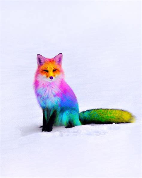 Discover 20 Rainbow Cute Animals That Will Brighten Your Day