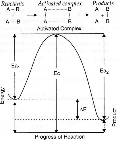 With the help of diagram explain the role of activated complex in a ...