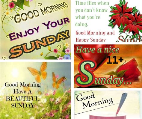 11 Good Morning Quotes For Sunday