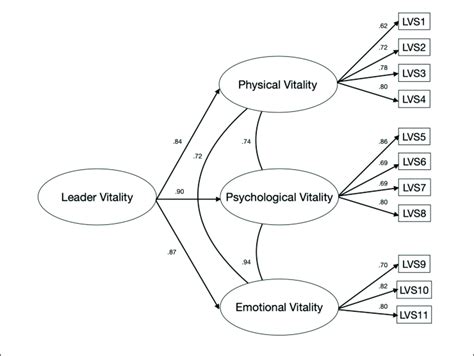 Graphical Representation Of A Three Factor Model With A Higher Order