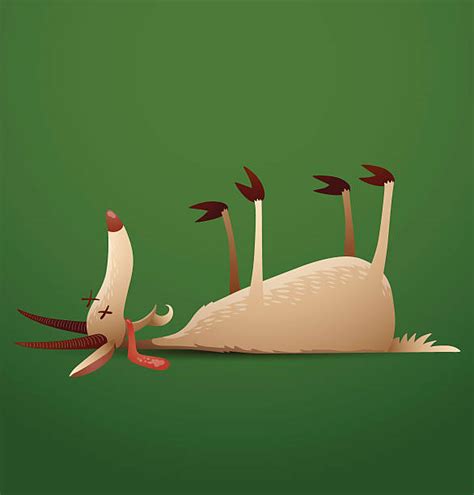 Dead Animal Cartoon Pictures Illustrations, Royalty-Free Vector ...